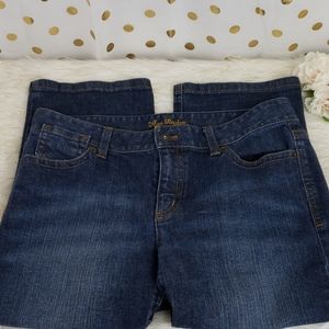 Ann Taylor Modern Fit Lindsay Waist Crop Jeans